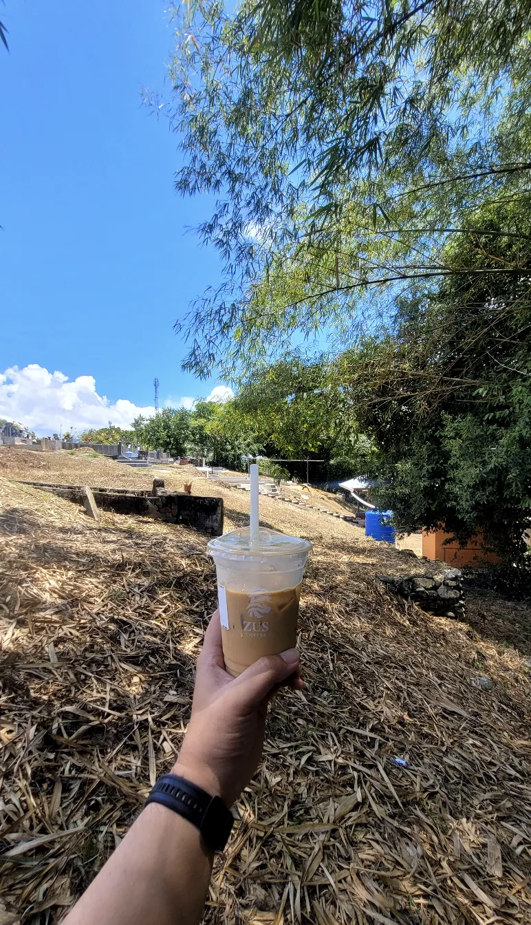 ZUS coffee against bamboo at the cemetery