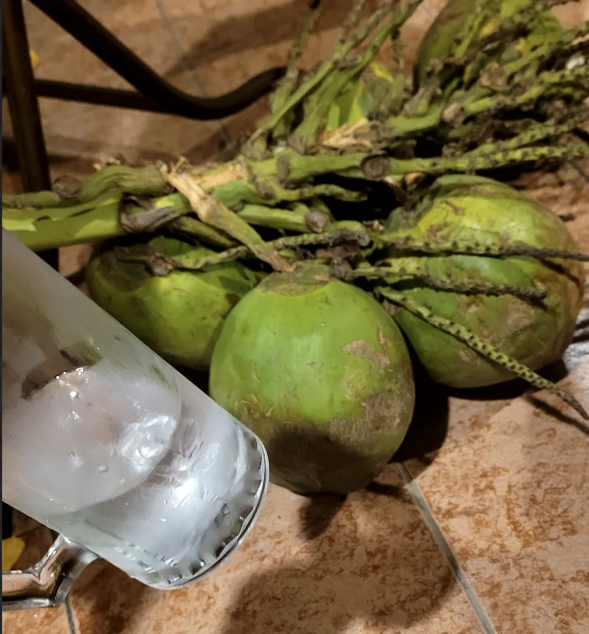 Green coconuts and frosted glass mug