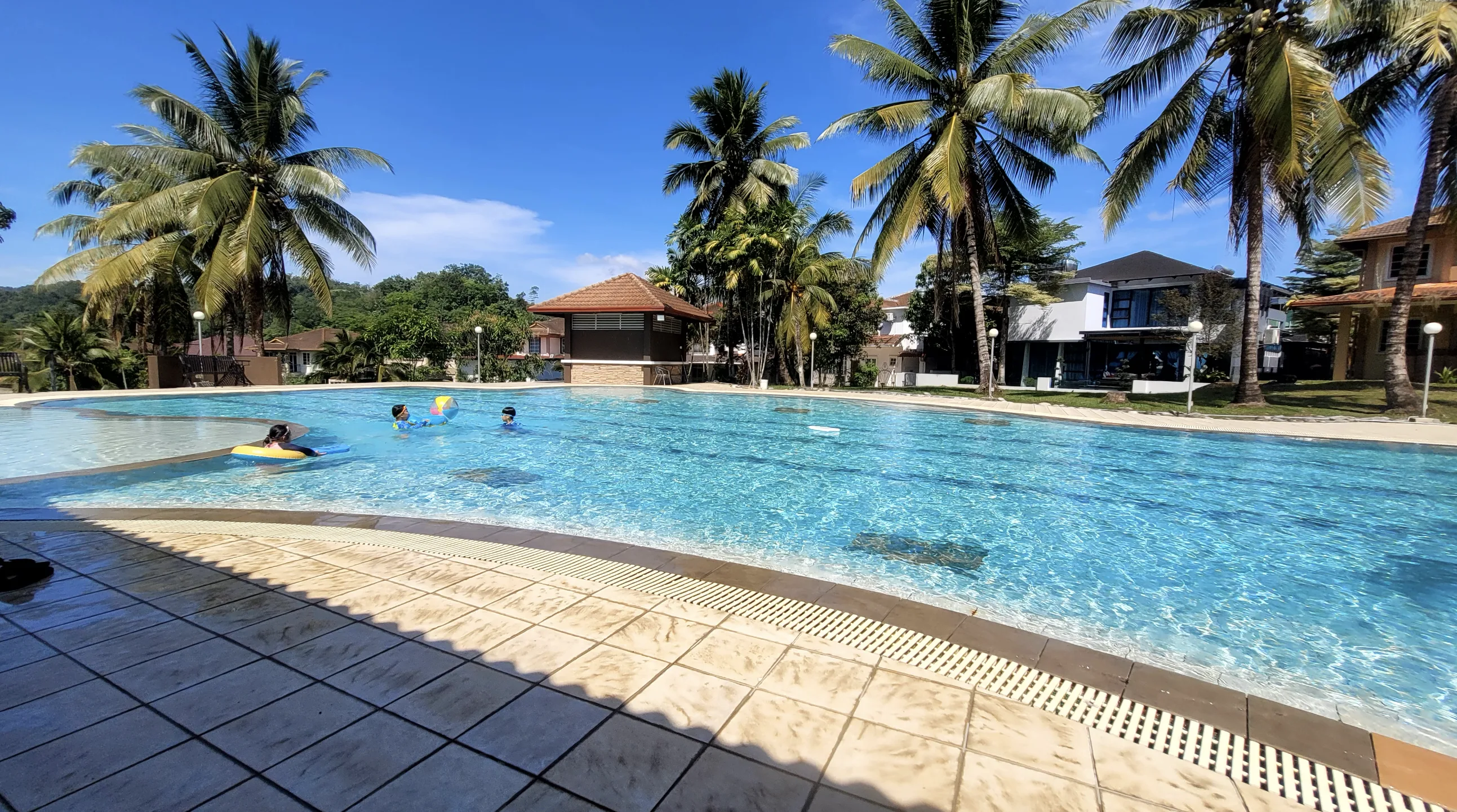 Pool with palm trees