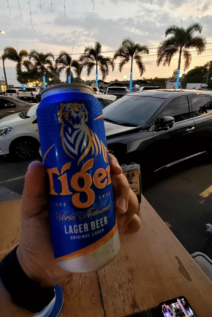 Tiger downstairs after the work session